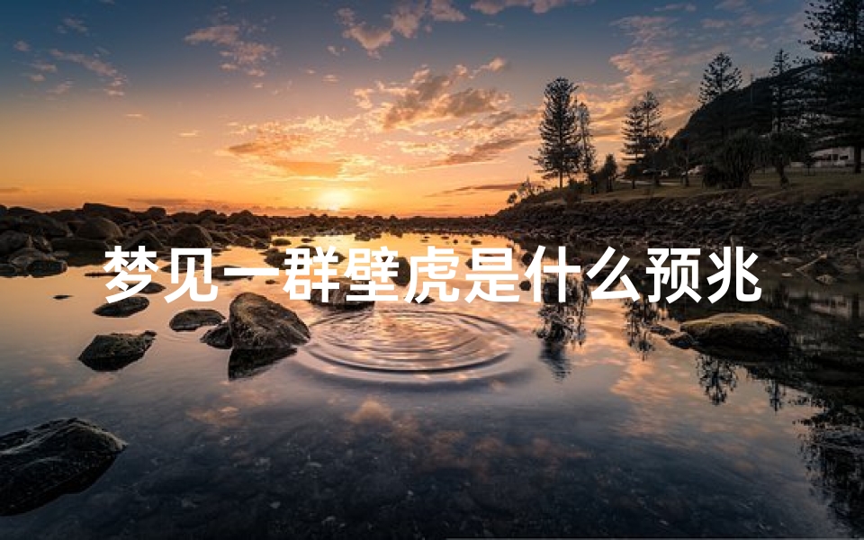 梦见一群壁虎是什么预兆女性,梦见很多壁虎在地上爬是什么征兆