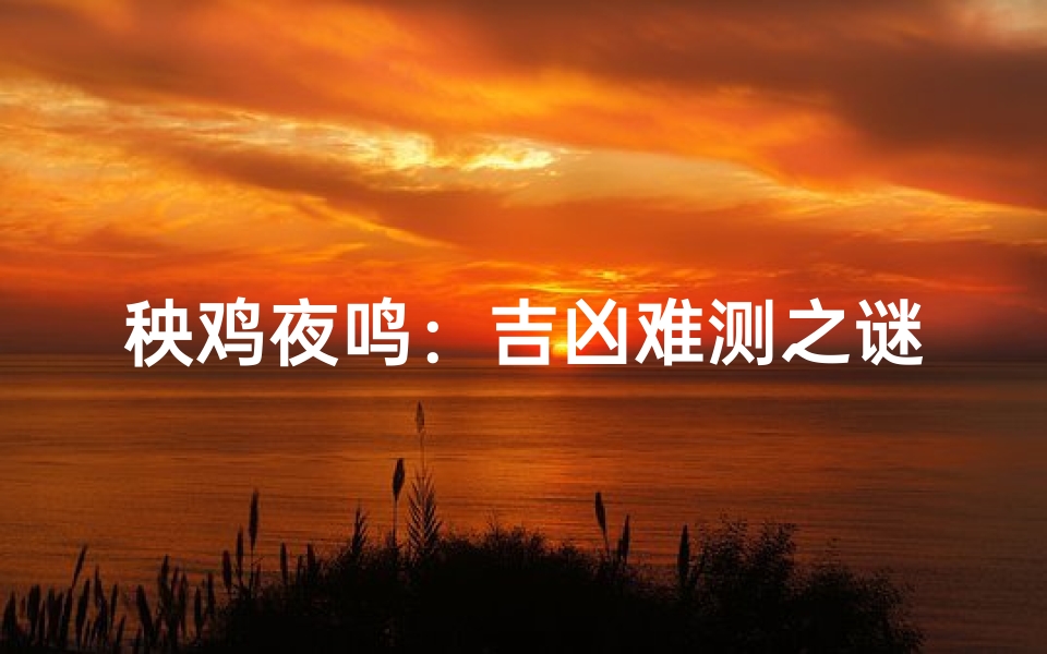 秧鸡夜鸣:吉凶难测之谜