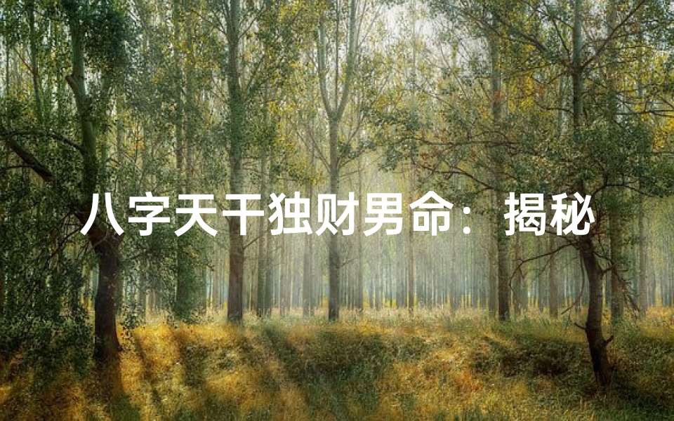 八字天干独财男命:揭秘财运亨通的秘密