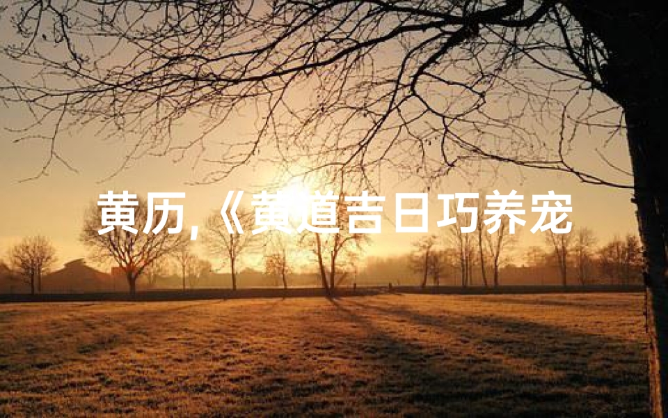 黄历,《黄道吉日巧养宠物,好运相伴每一天》