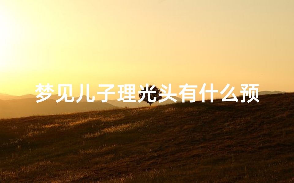 梦见儿子理光头有什么预兆,梦到儿子理头发