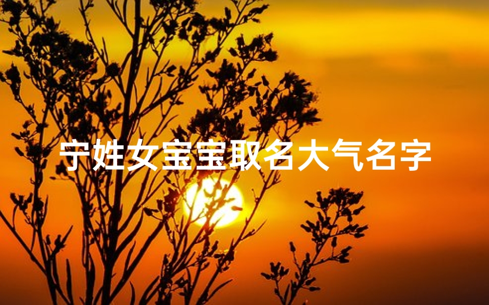 宁姓女宝宝取名大气名字、宁家女宝,大气名字彰显非凡气质
