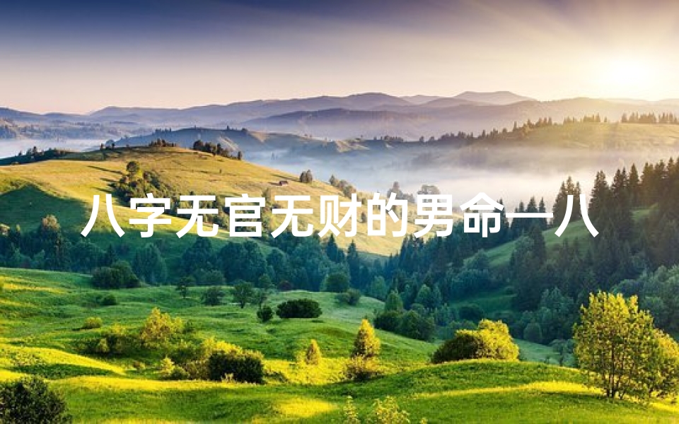 八字无官无财的男命—八字无官无财男命:逆境中的奋斗人生