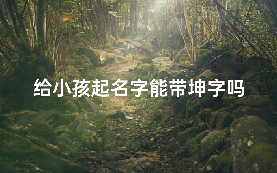给小孩起名字能带坤字吗