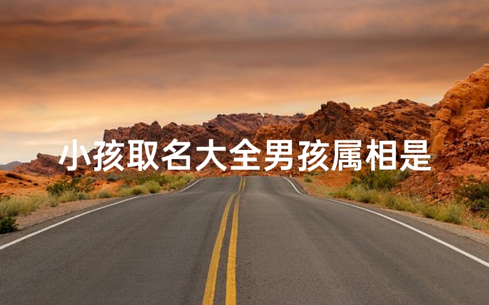 小孩取名大全男孩属相是什么