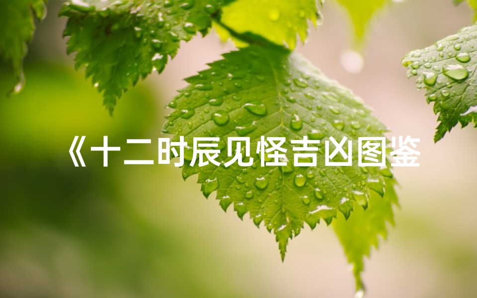 《十二时辰见怪吉凶图鉴大全揭秘》