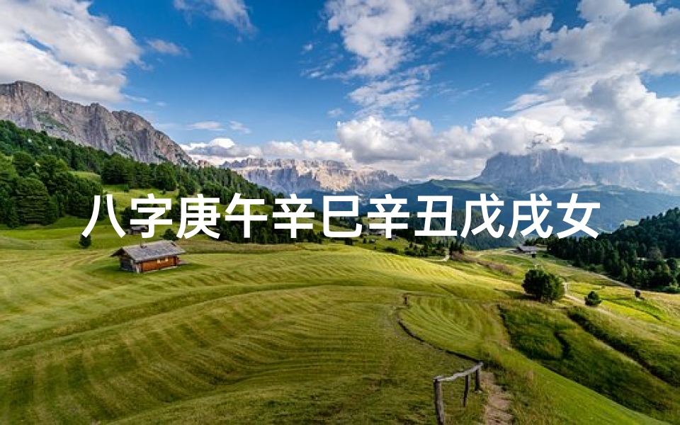 八字庚午辛巳辛丑戊戌女命(庚午 辛巳 戊戌)-优贝算卦网