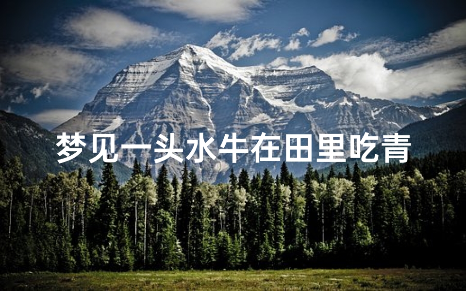 梦见一头水牛在田里吃青草-梦见自家的水牛在田里吃草-优贝算卦网