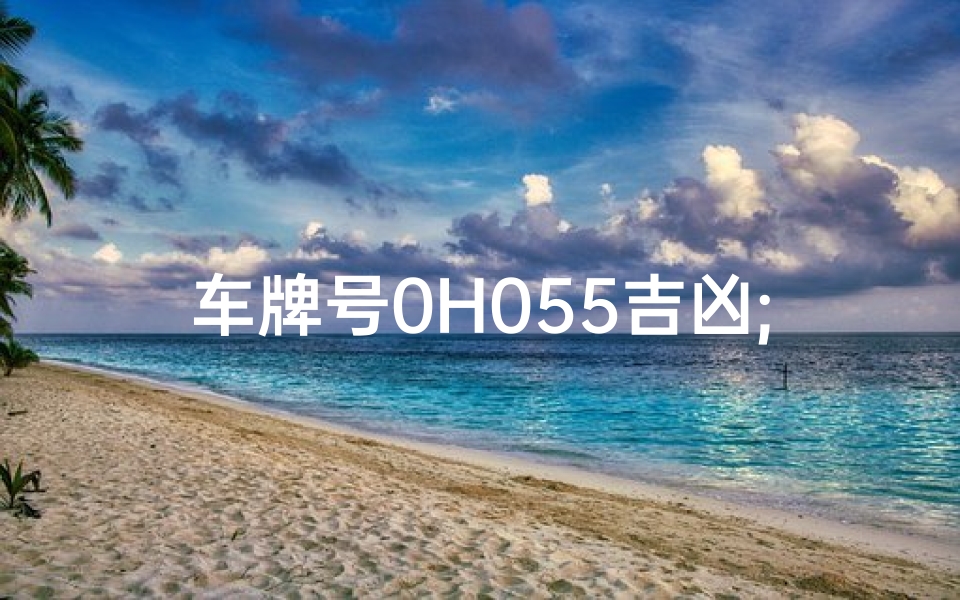 车牌号0H055吉凶;车牌号0H055:吉凶之谜,车牌背后的运势解析
