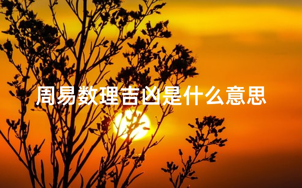 周易数理吉凶是什么意思、周易数理吉凶表揭秘：图片中的神秘解读