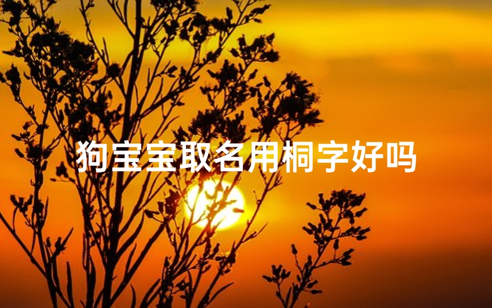 狗宝宝取名用桐字好吗