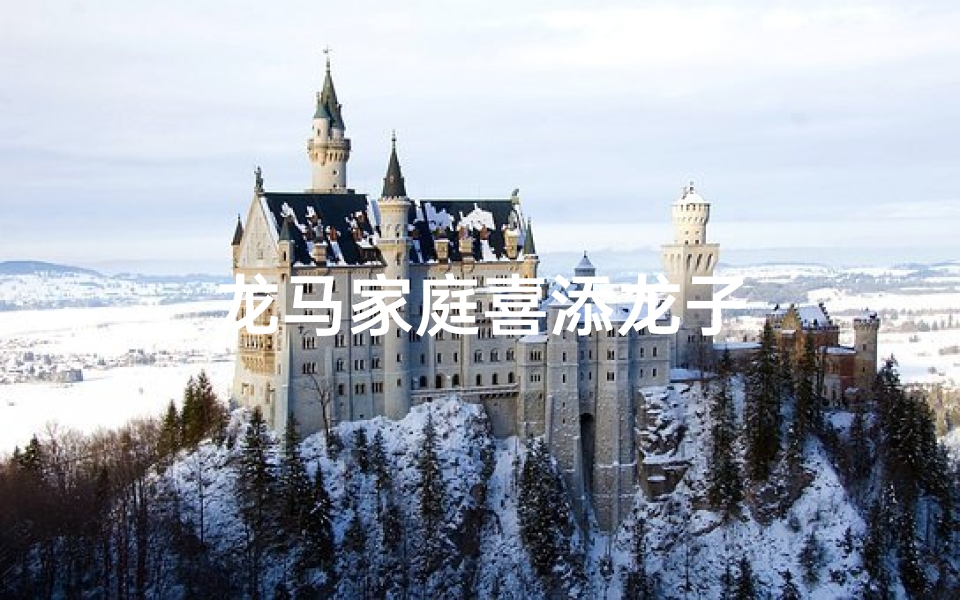 龙马家庭喜添龙子