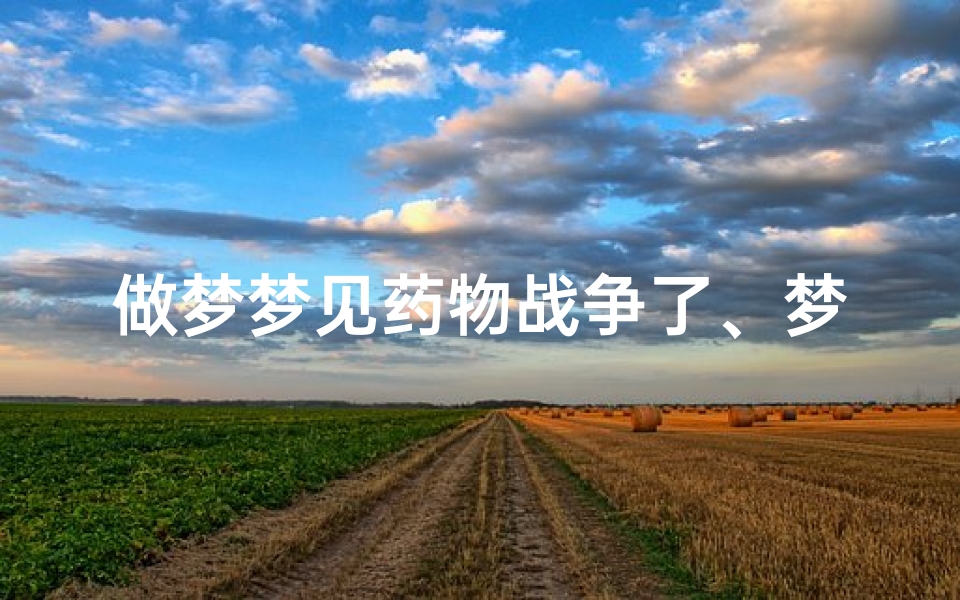 做梦梦见药物战争了、梦到药单