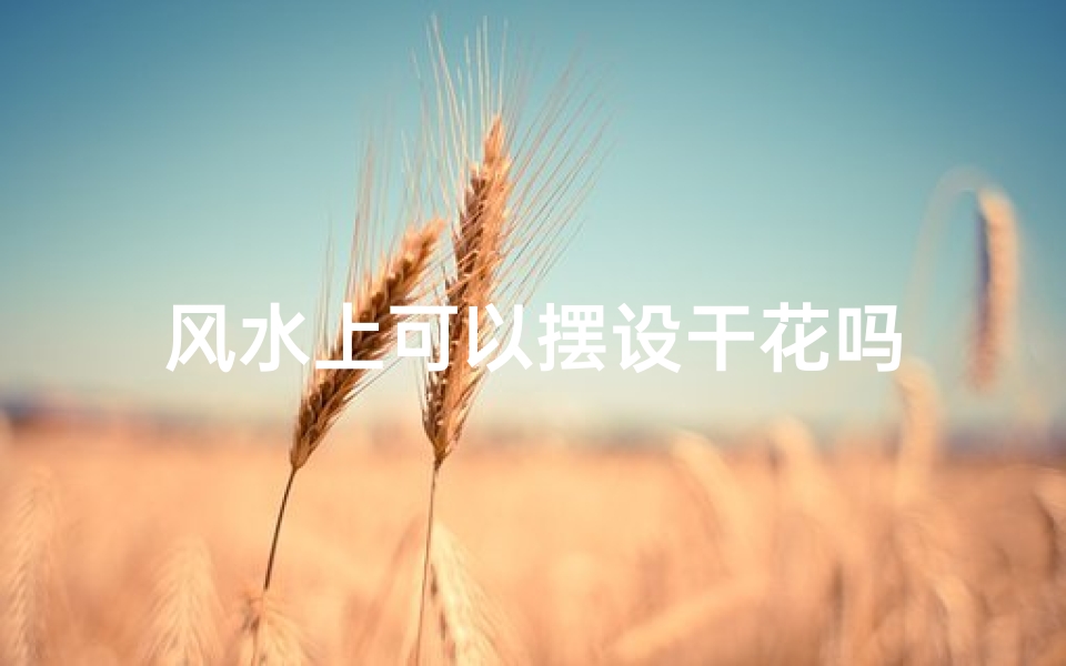 风水上可以摆设干花吗