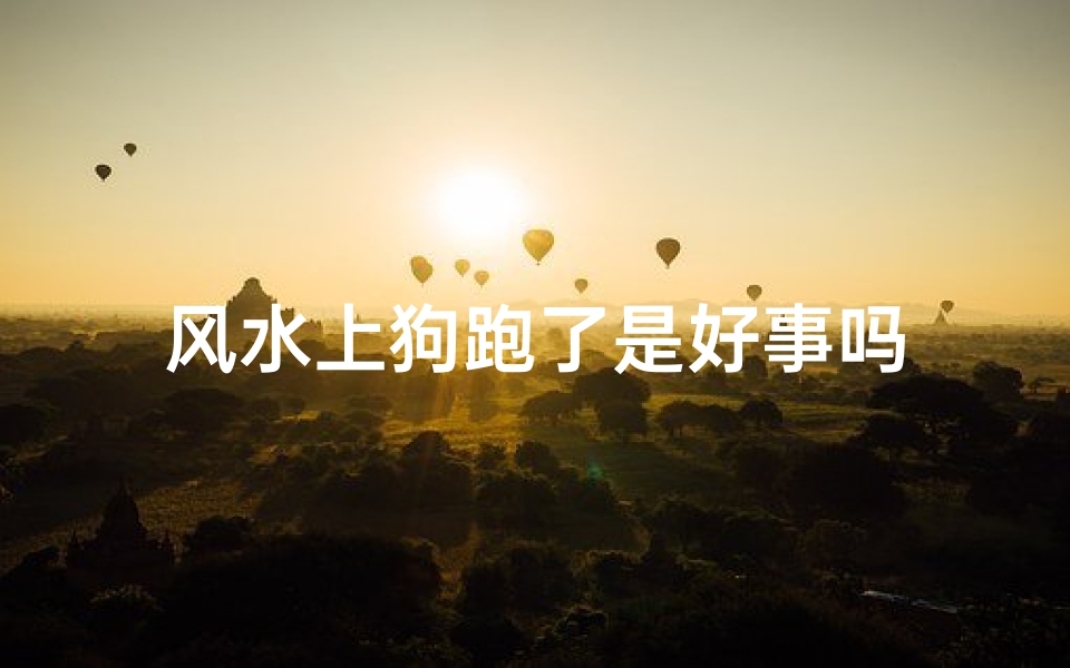 风水上狗跑了是好事吗