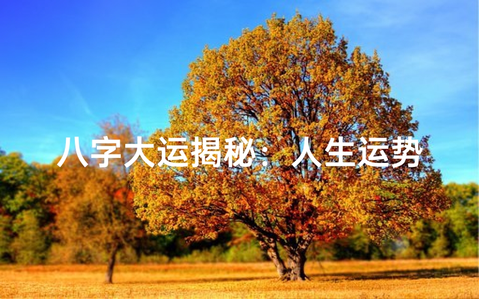 八字大运揭秘:人生运势的起伏转折点