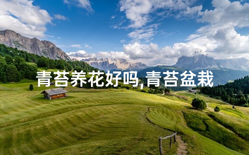 青苔养花好吗,青苔盆栽风水影响揭秘:家居绿植的阴阳之道