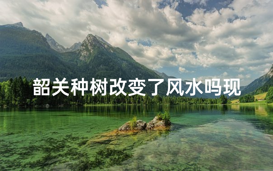 韶关种树改变了风水吗现在