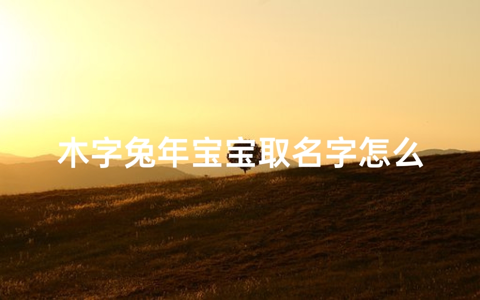 木字兔年宝宝取名字怎么取;属兔木字旁的字男孩起名字