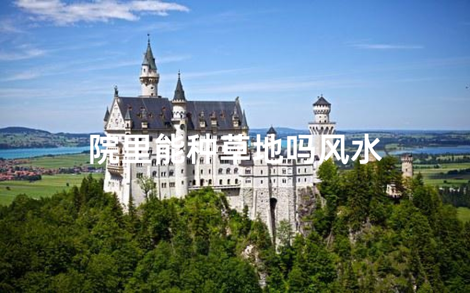 院里能种草地吗风水