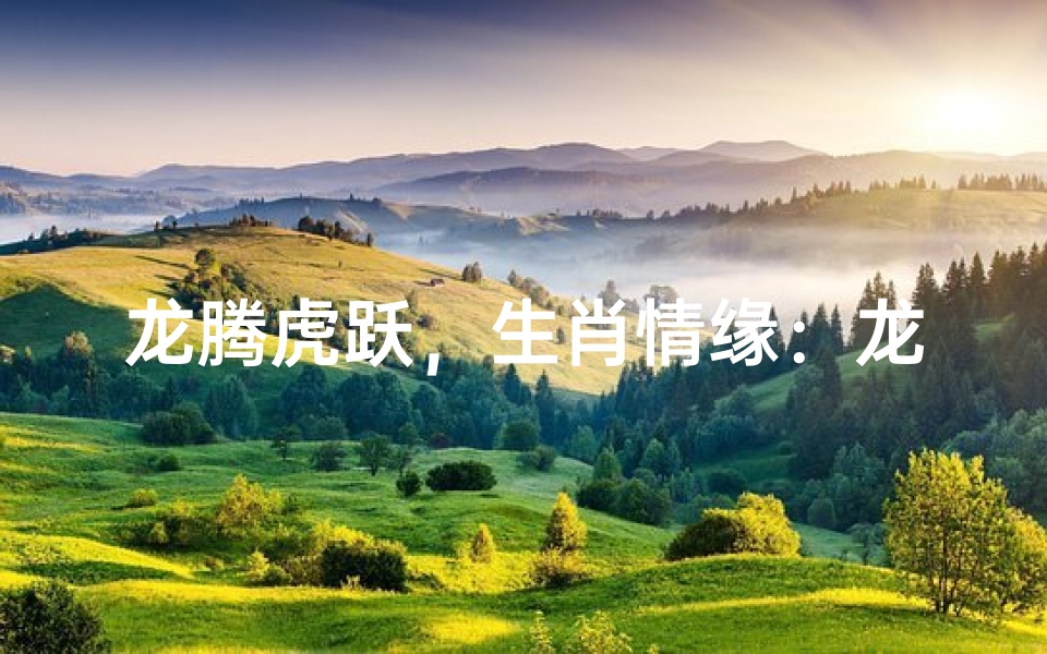 龙腾虎跃,生肖情缘:龙虎相争还是和谐共生?
