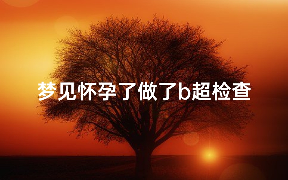 梦见怀孕了做了b超检查—梦见怀孕了做了b超检查不出来