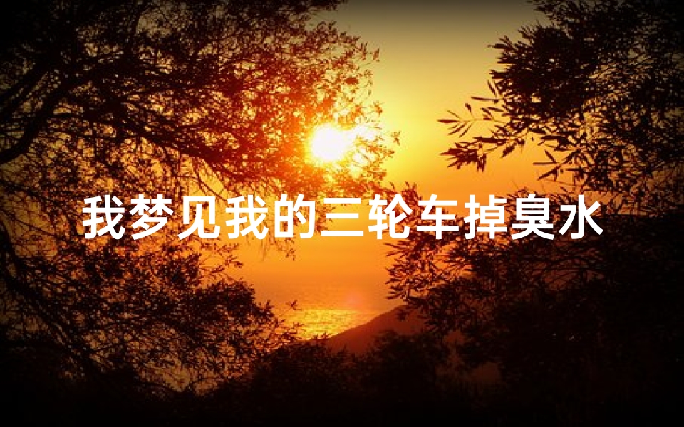 我梦见我的三轮车掉臭水沟了、我梦见我的三轮车掉臭水沟了啥意思