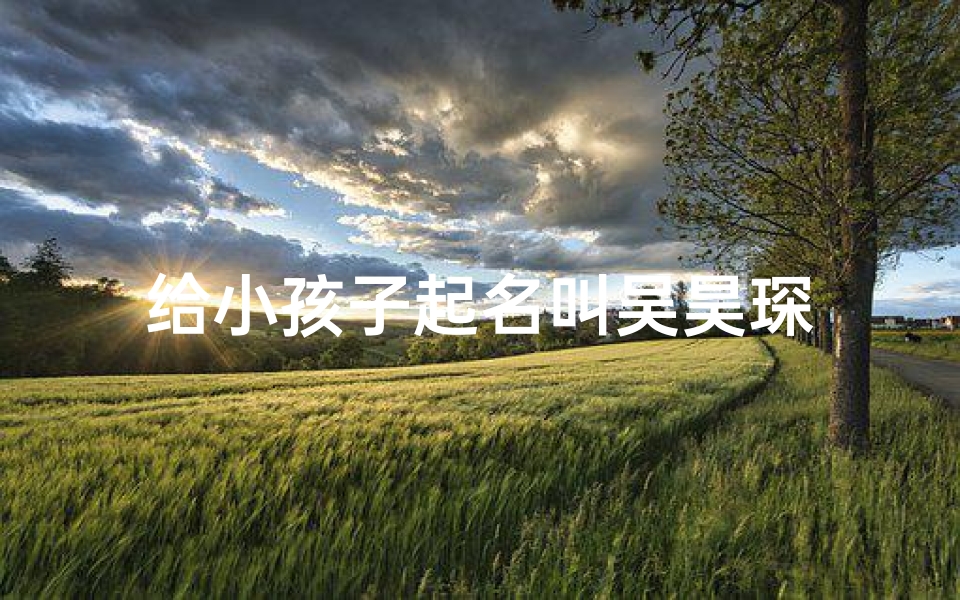 给小孩子起名叫吴昊琛