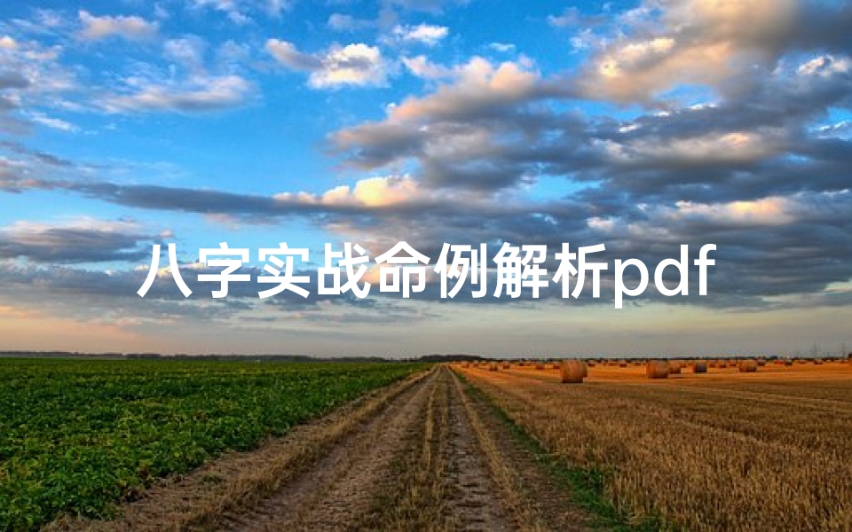八字实战命例解析pdf_八字命理实例