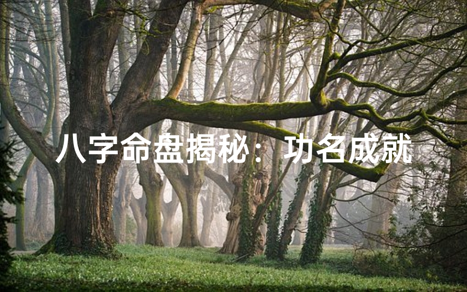 八字命盘揭秘:功名成就的神秘标志