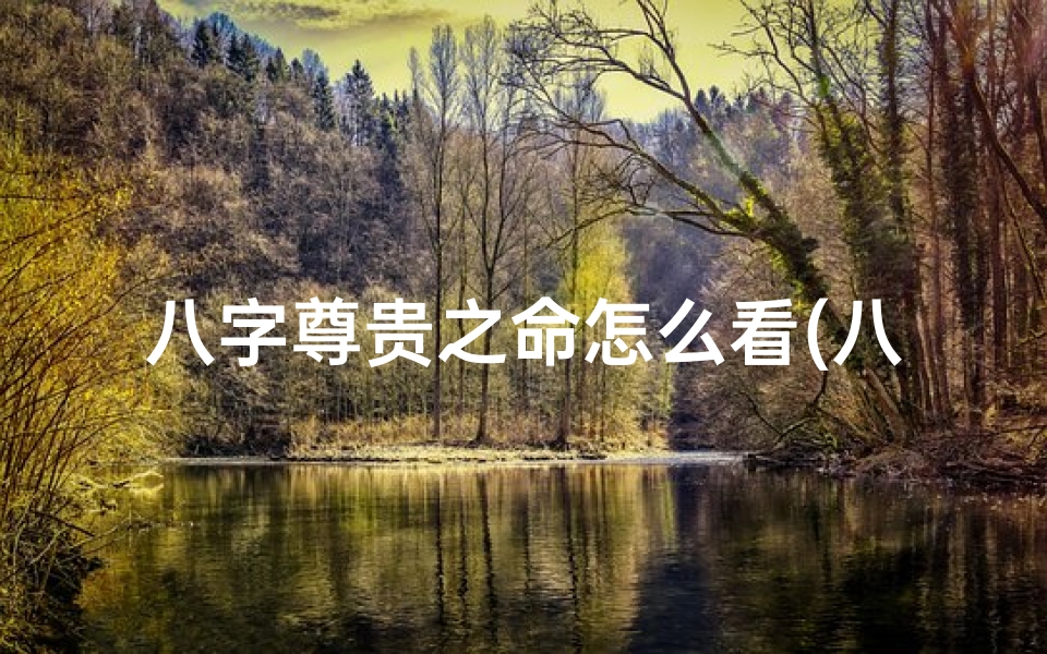 八字尊贵之命怎么看(八字看命贵贱)