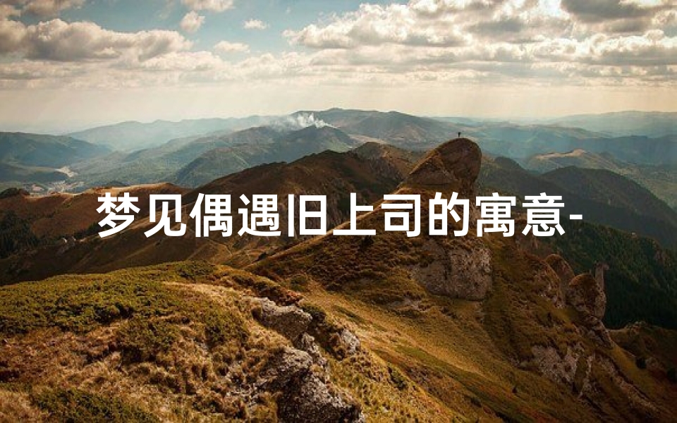 梦见偶遇旧上司的寓意-梦见偶遇以前的领导聊的开心