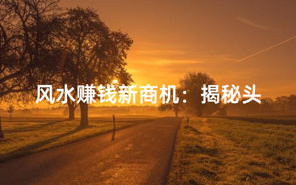 风水赚钱新商机:揭秘头条看风水盈利之道