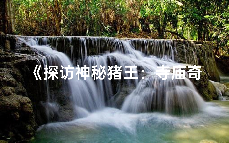 《探访神秘猪王:寺庙奇观值得一游》