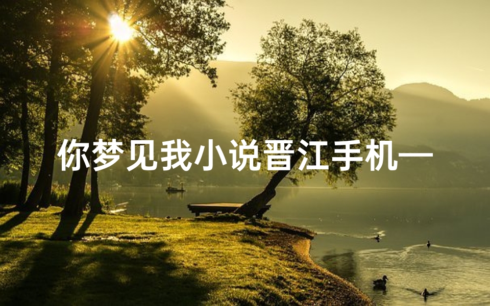 你梦见我小说晋江手机—梦见你梦见我歌词意思