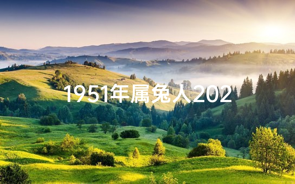 1951年属兔人2023年运势详解:运势大揭秘,财运亨通-优贝算卦网