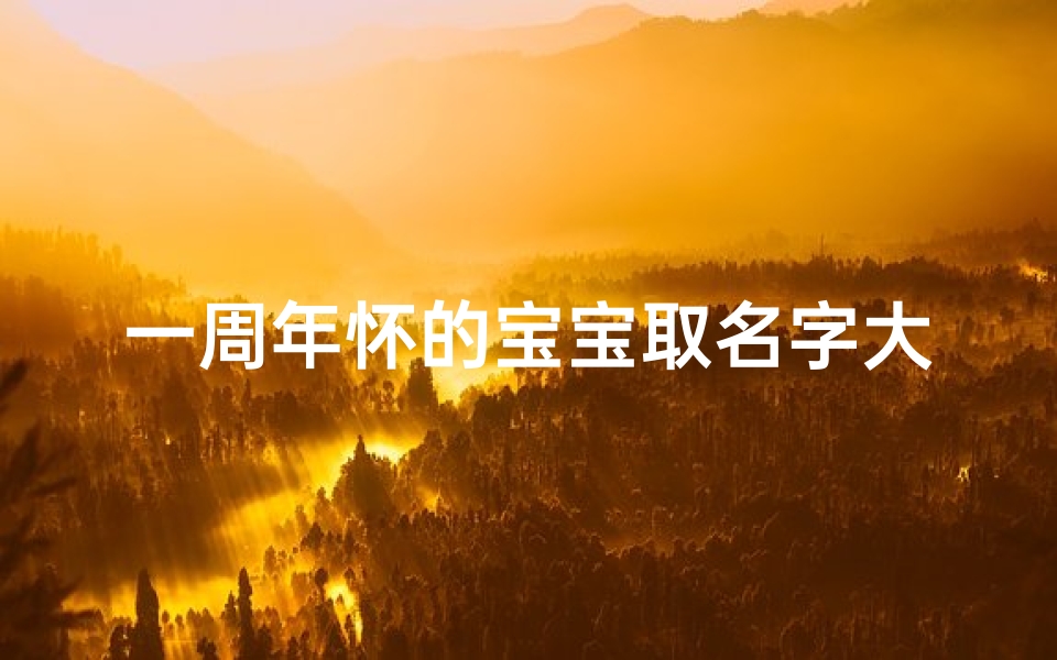 一周年怀的宝宝取名字大全—宝宝一周年庆:温馨回顾,幸福起名大集合
