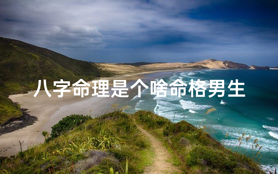 八字命理是个啥命格男生,《八字命理揭秘:揭秘八字命格男生命运之谜》