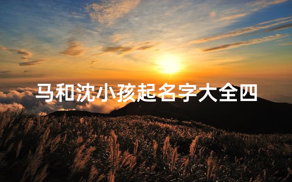 马和沈小孩起名字大全四个字