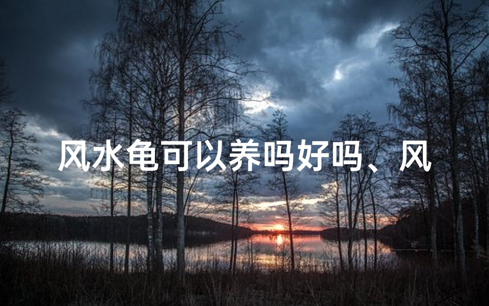 风水龟可以养吗好吗、风水龟可以养吗好吗视频