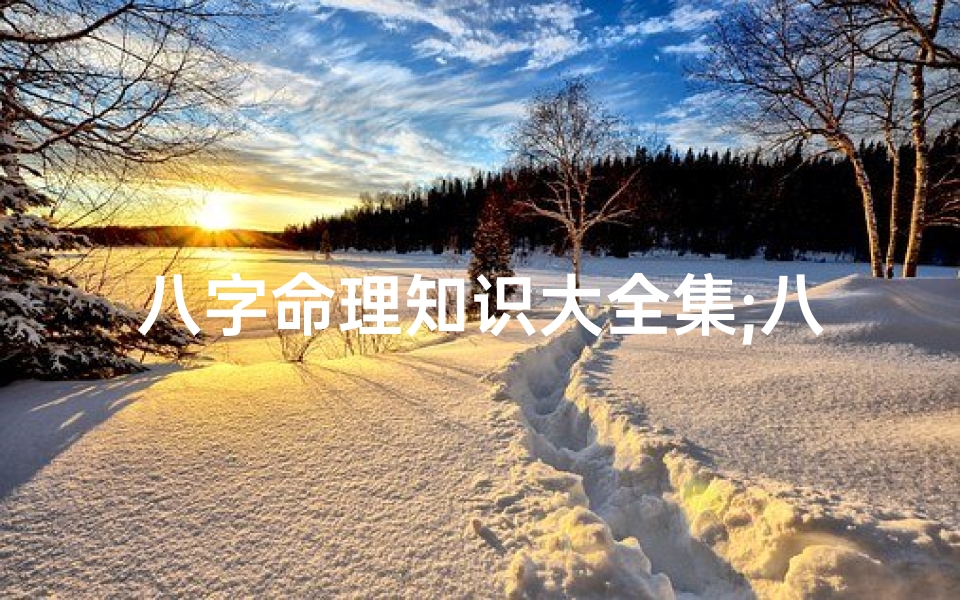 八字命理知识大全集;八字命理精华全集