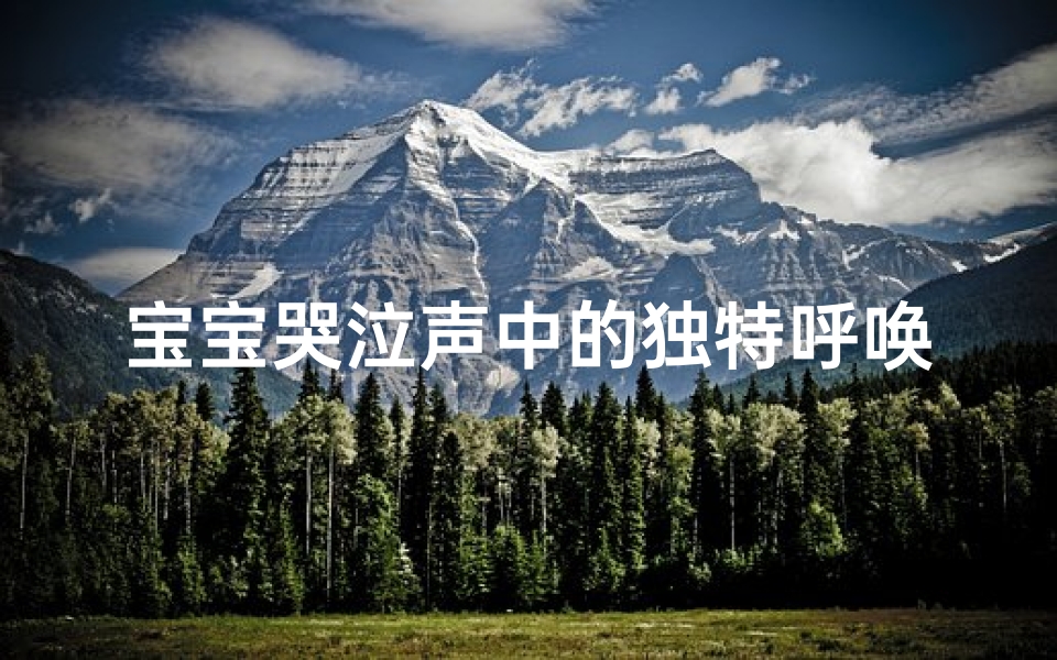 宝宝哭泣声中的独特呼唤:哭宝宝的名字故事
