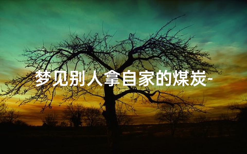 梦见别人拿自家的煤炭-梦见别人拿煤在烧炉子