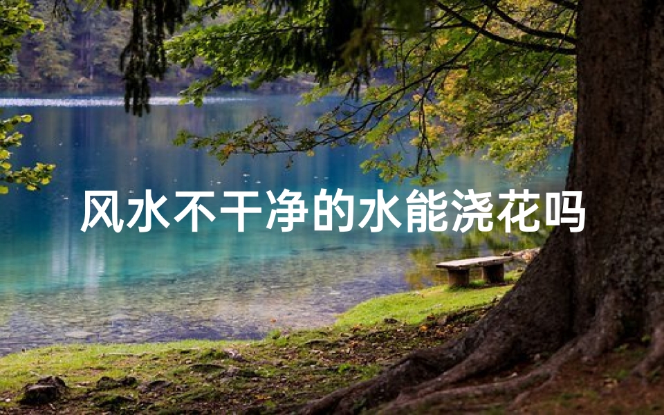 风水不干净的水能浇花吗、风水不净之水浇花,可行否?