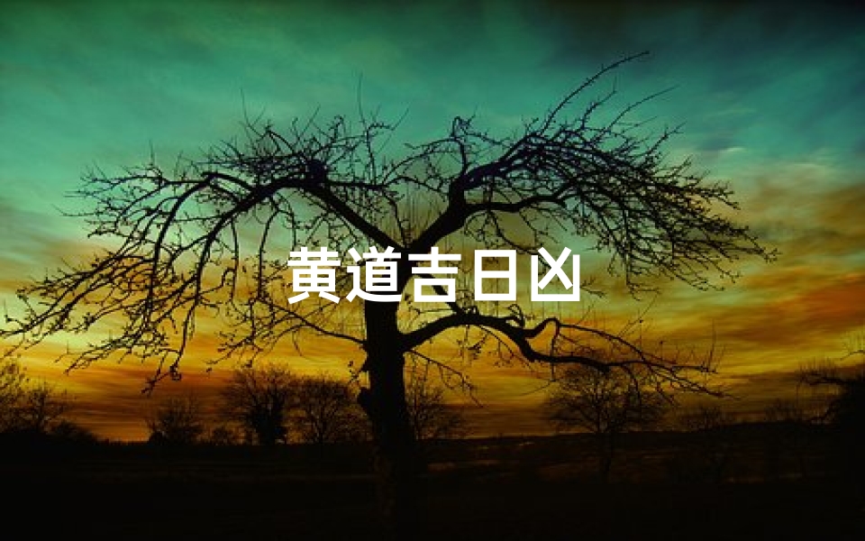 黄道吉日凶