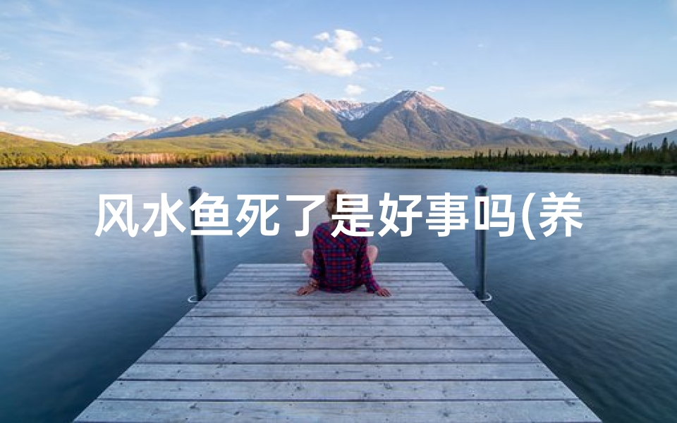 风水鱼死了是好事吗(养的风水鱼死了)