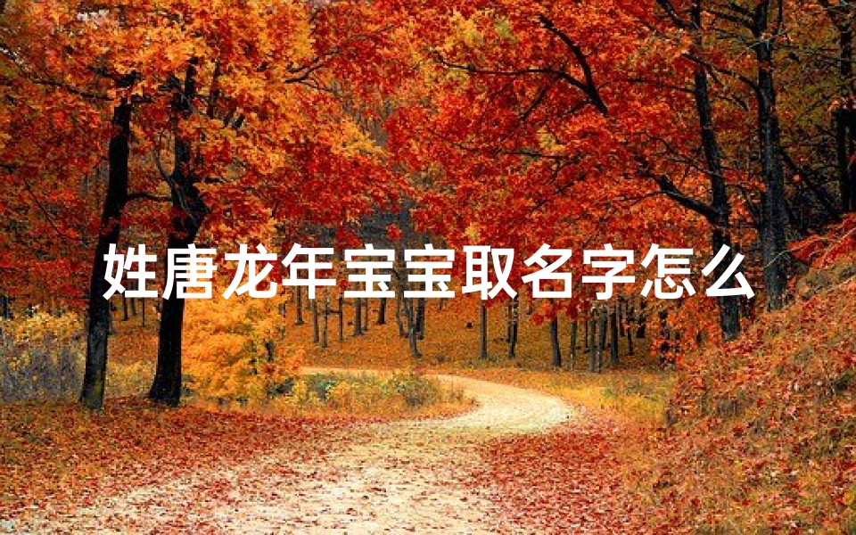姓唐龙年宝宝取名字怎么取—《唐龙年宝宝取名:如何为龙年宝宝取一个好名字》