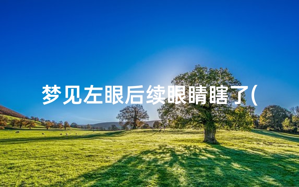 梦见左眼后续眼睛瞎了(梦见左眼后续眼睛瞎了一只)