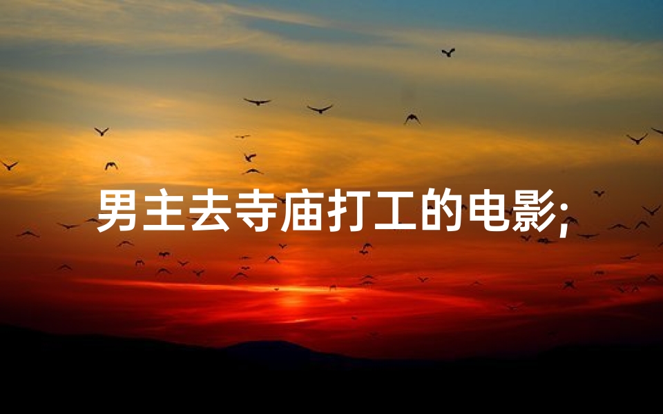 男主去寺庙打工的电影;《禅意人生:寺庙打工奇遇记》