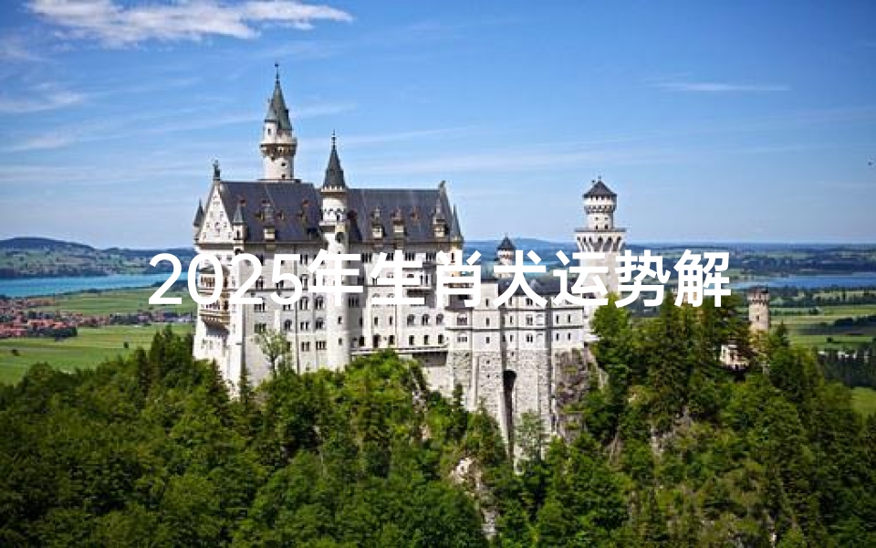 2025年生肖犬运势解析:展望新的一年财运亨通